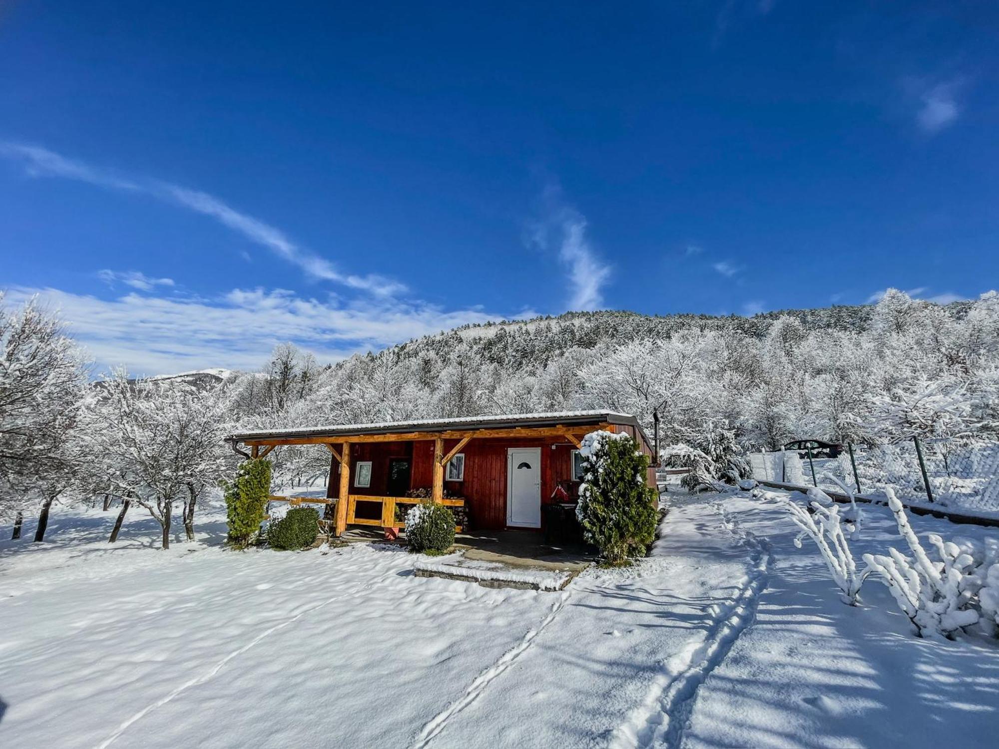 Holiday Home La Sierra 科雷尼察 外观 照片